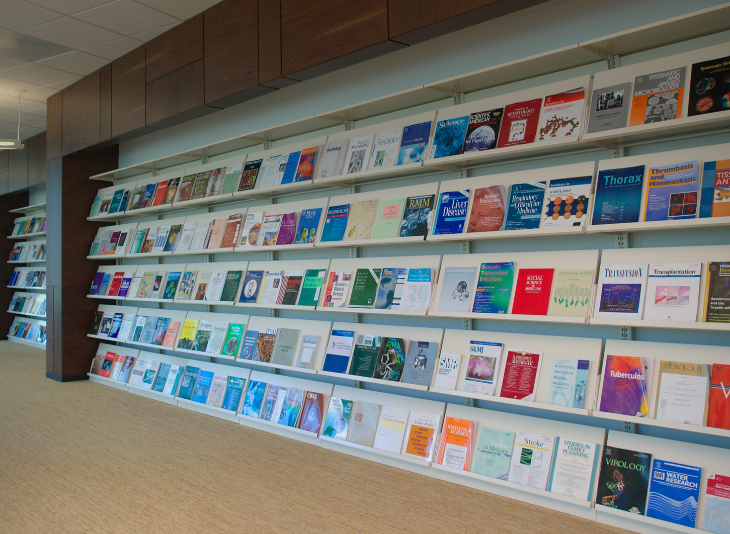 Shelves in a library showing journals where researchers publish a scientific paper.